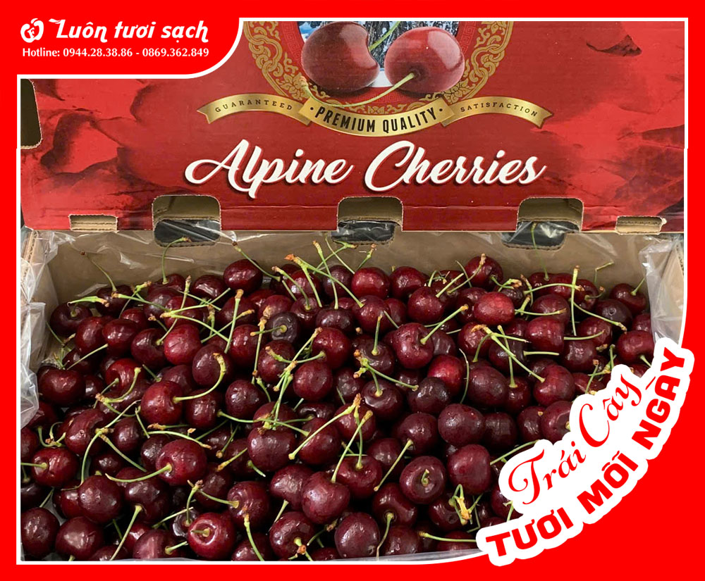 Cherry Canada